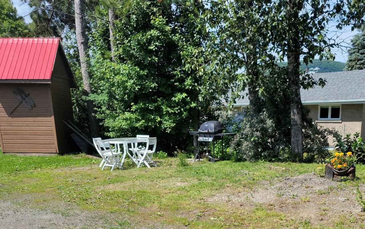 Lower Level Apt 6Ft High Close To Hwy Netflix Wifi Apartment Едмъндстън Екстериор снимка