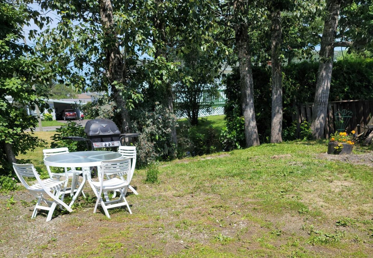 Lower Level Apt 6Ft High Close To Hwy Netflix Wifi Apartment Едмъндстън Екстериор снимка